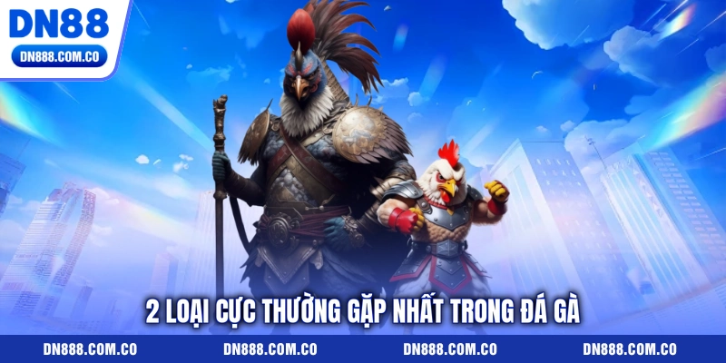 2 loại cực thường gặp nhất trong đá gà 2 loại cực thường gặp nhất trong đá gà