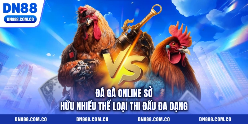 Đá gà online sở hữu nhiều thể loại thi đấu đa dạng Đá gà online sở hữu nhiều thể loại thi đấu đa dạng