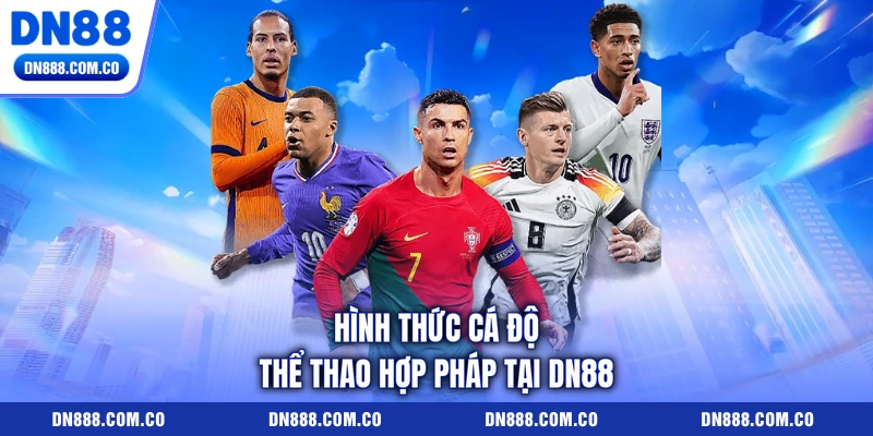 Hình thức cá độ thể thao hợp pháp tại DN88 Hình thức cá độ thể thao hợp pháp tại DN88