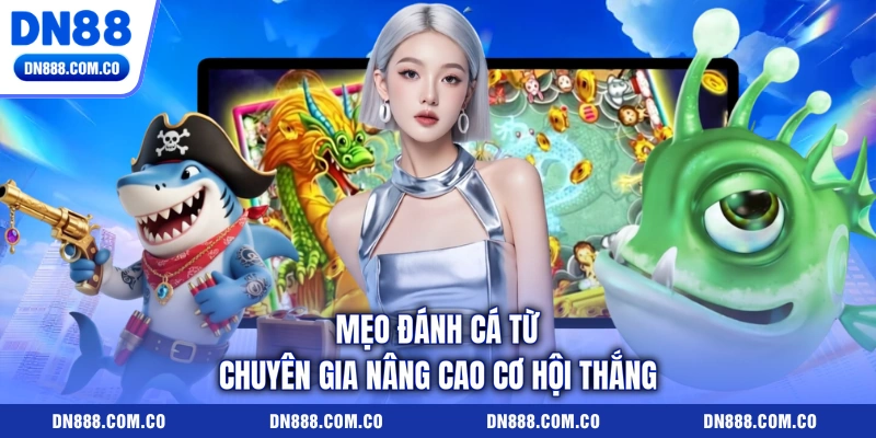 Mẹo đánh cá từ chuyên gia nâng cao cơ hội thắng Mẹo đánh cá từ chuyên gia nâng cao cơ hội thắng
