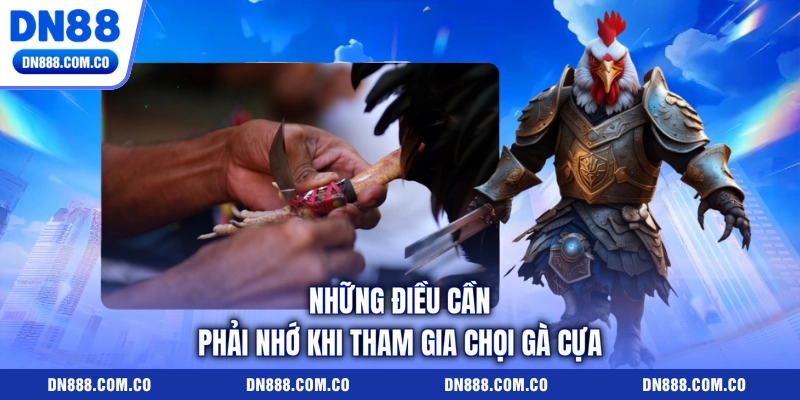 Những điều cần phải nhớ khi tham gia chọi gà cựa Những điều cần phải nhớ khi tham gia chọi gà cựa