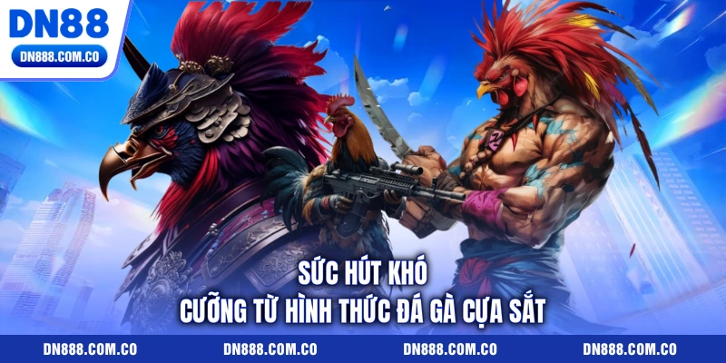 Sức hút khó cưỡng từ hình thức đá gà cựa sắt Sức hút khó cưỡng từ hình thức đá gà cựa sắt