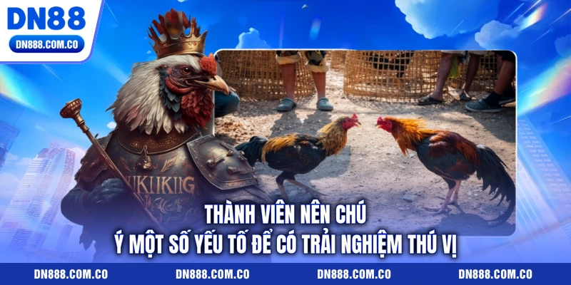 Thành viên nên chú ý một số yếu tố để có trải nghiệm thú vị Thành viên nên chú ý một số yếu tố để có trải nghiệm thú vị